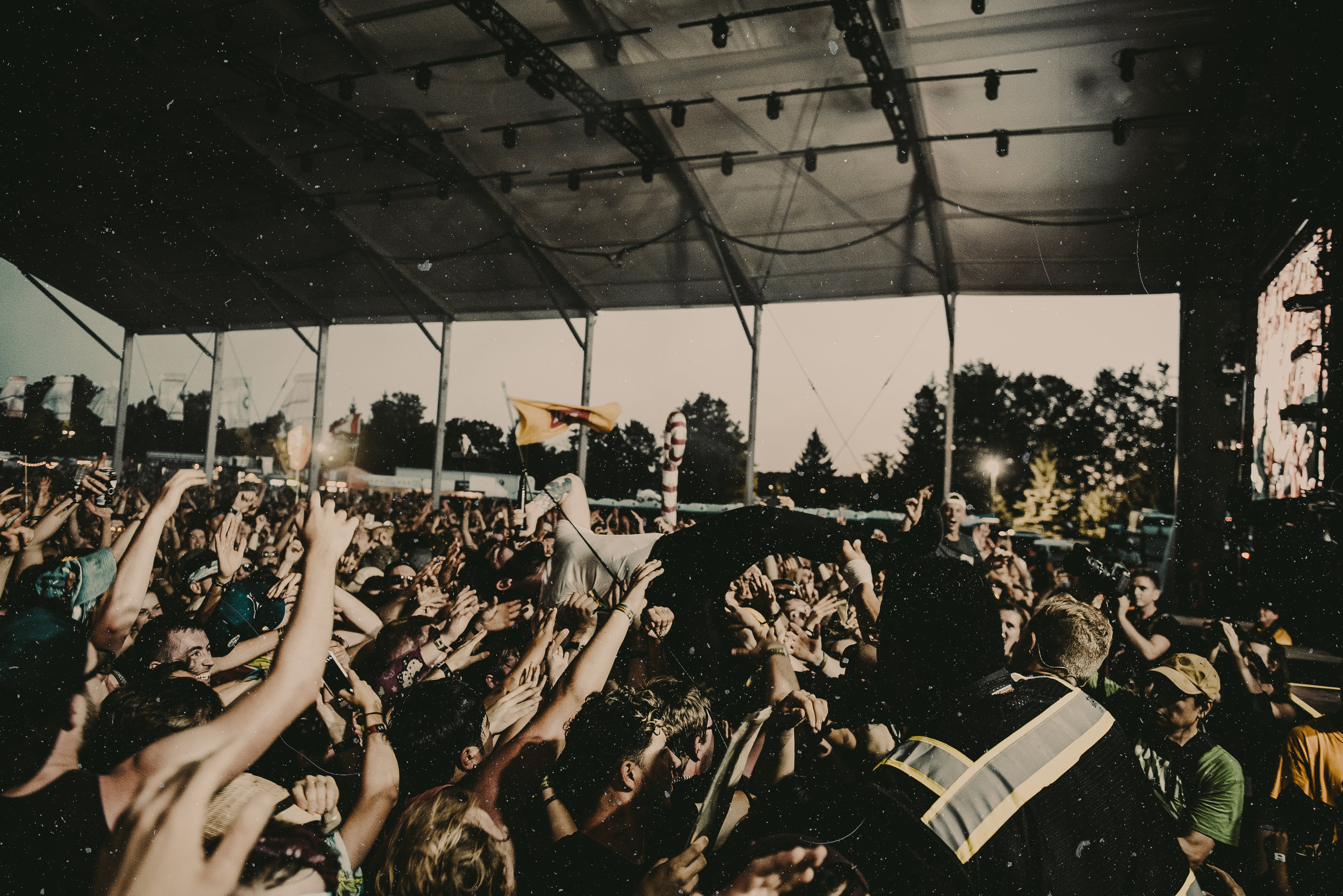 Foals