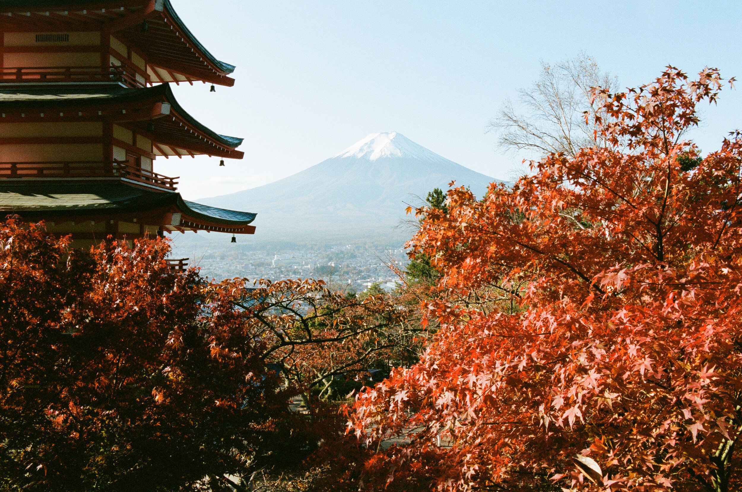 Portra 400 cropped-000047000007.jpg