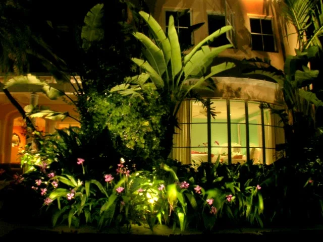 Landscape Lighting of a Private Residence in Florida