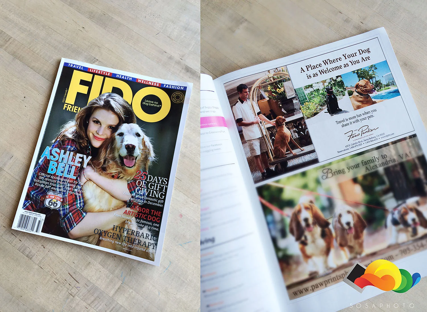 Published in Fido Magazine