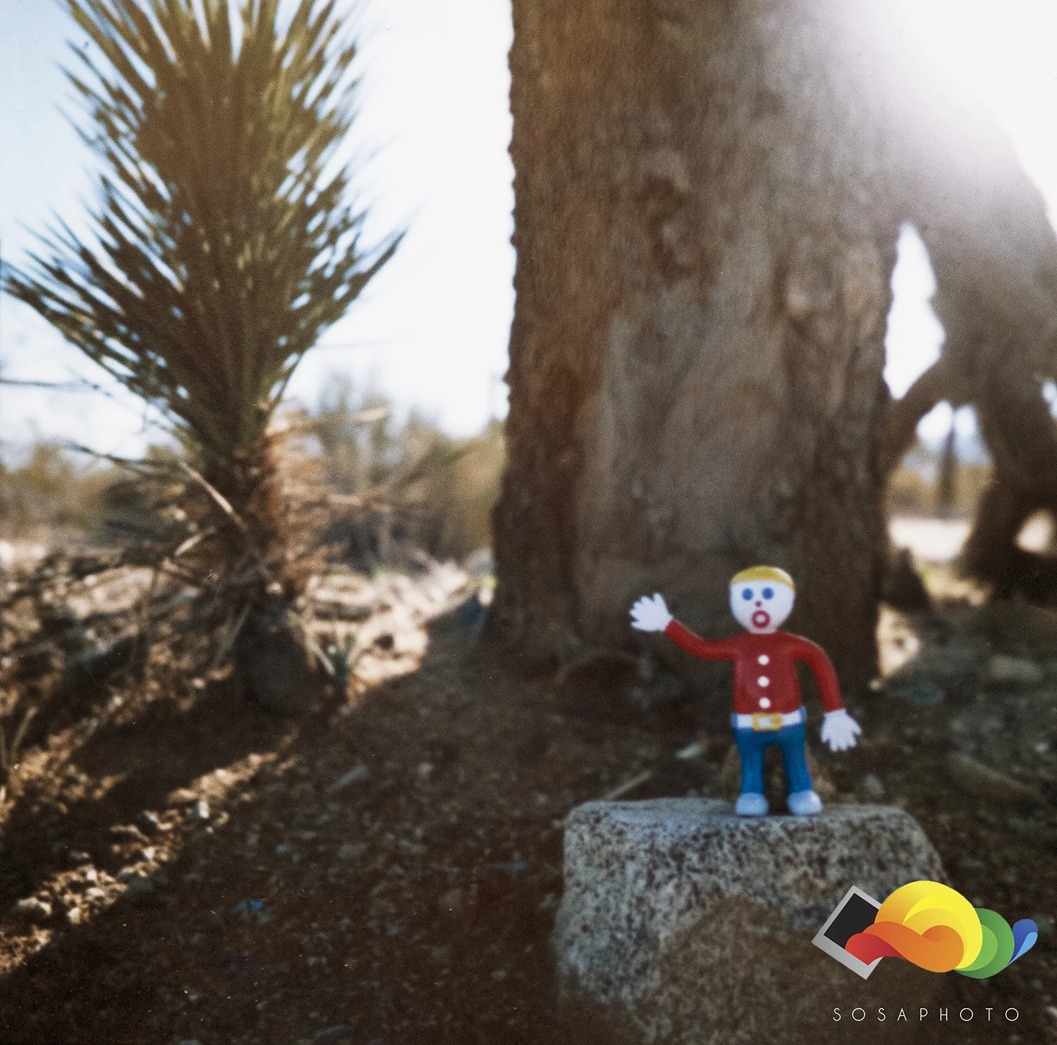 Bill the Adventurer, along for the wild ride ahead. What lies ahead for the both of us is just a mystery waiting to be solved. 