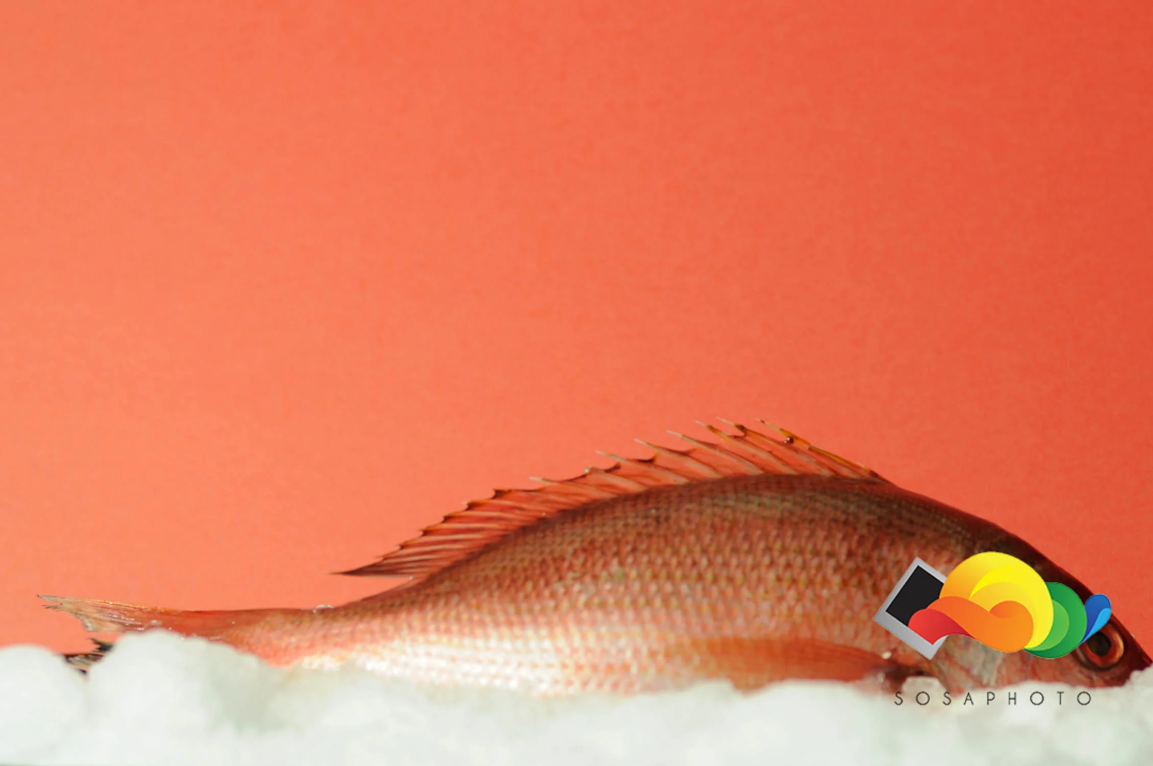 20150228-0122.jpg