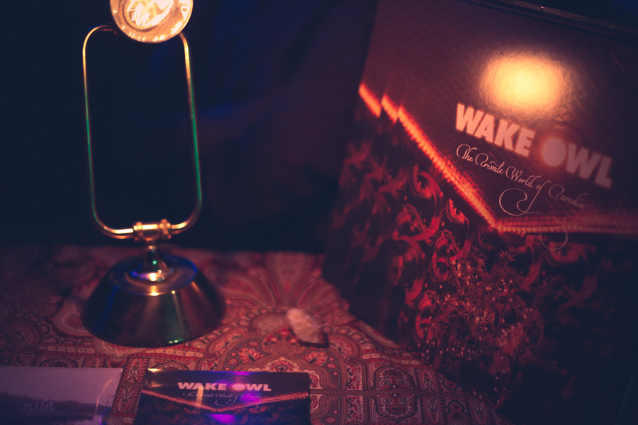 LYON-Wake-Owl-Canadian-Tour-Paul-Steward-Photography-0292.jpg