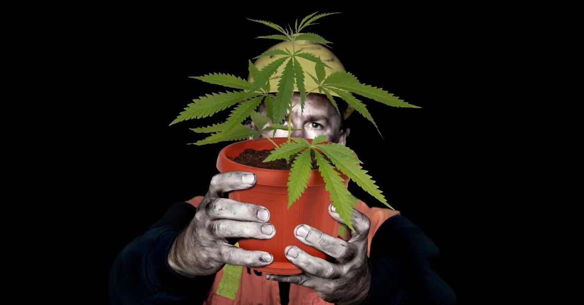 6.11.19_Going Green_IMAGE.jpg