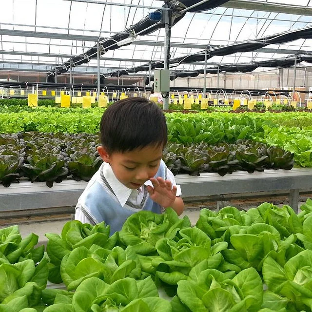 Photo Credit: CC BY-ND 2.0 by Farm Direct
