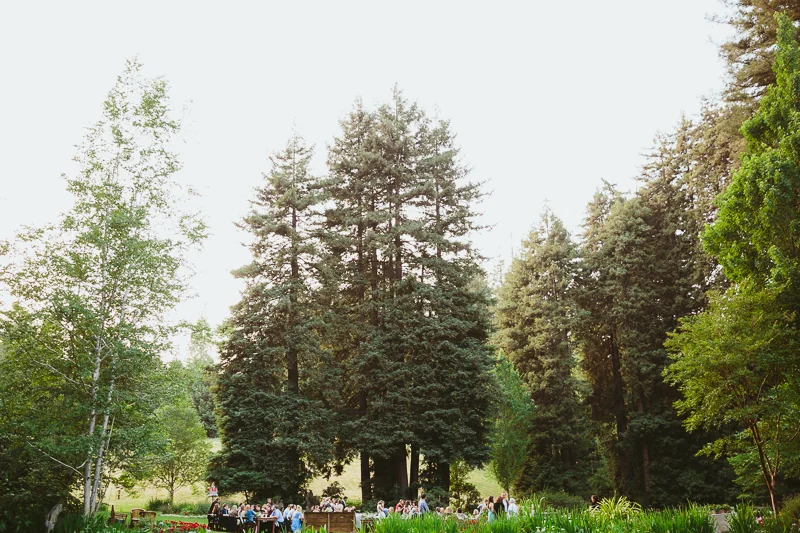 catherine_brian_wedding_ 0876.jpg
