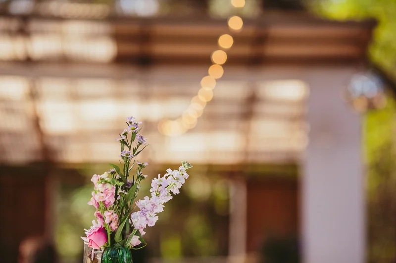 tallahassee punk rock wedding 0032.jpg