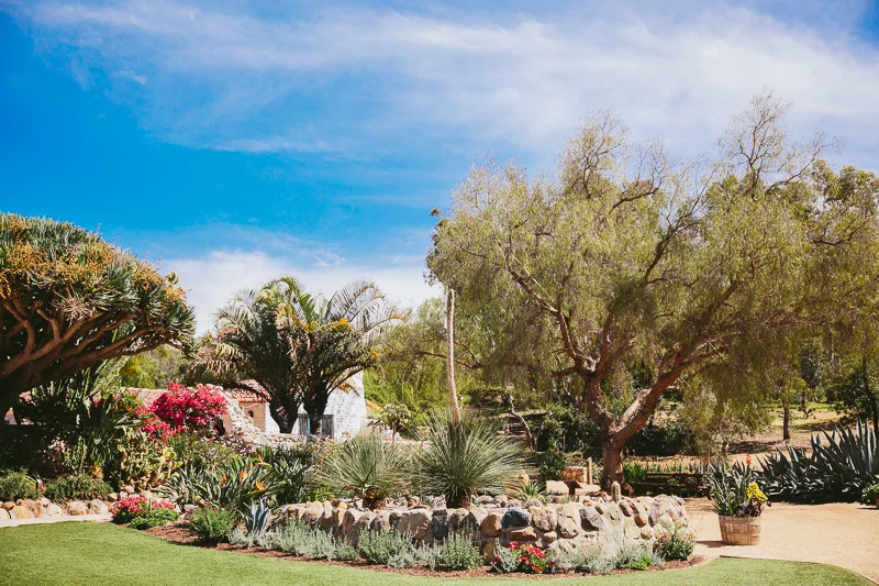 PUNK_ROCK_SAN_DIEGO_WEDDING_048.jpg