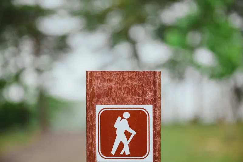 vegan_hiking_wedding_cloudland_canyon__005.jpg