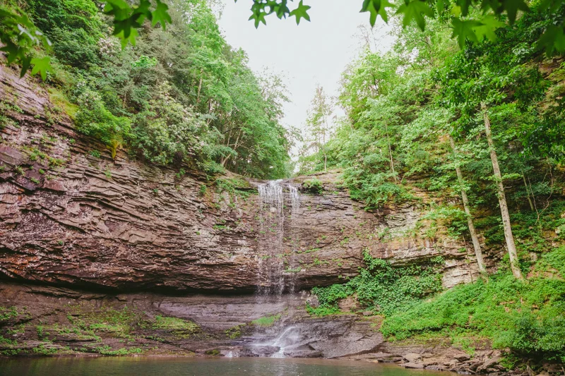 vegan_hiking_wedding_cloudland_canyon__014.jpg