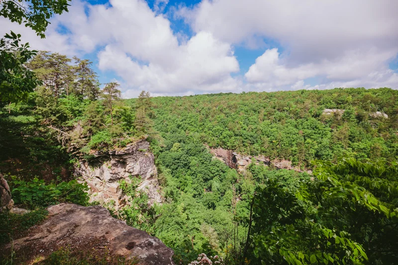vegan_hiking_wedding_cloudland_canyon__045.jpg