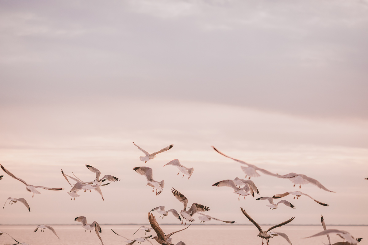 LONG_ISLAND_ALTERNATIVE_WEDDING_0001.jpg