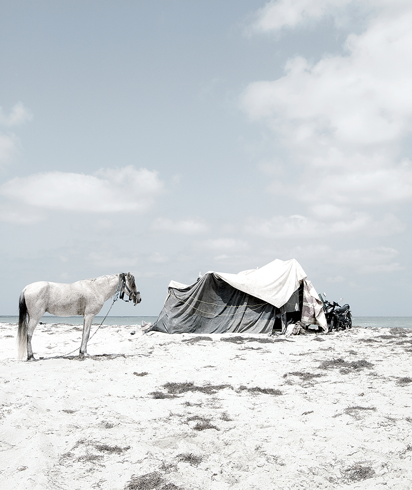 Cheval 111,8x90cm.jpg