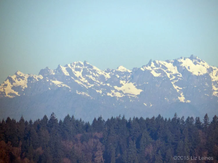 The Olympic Mountains looking very bare with little snow for winter.