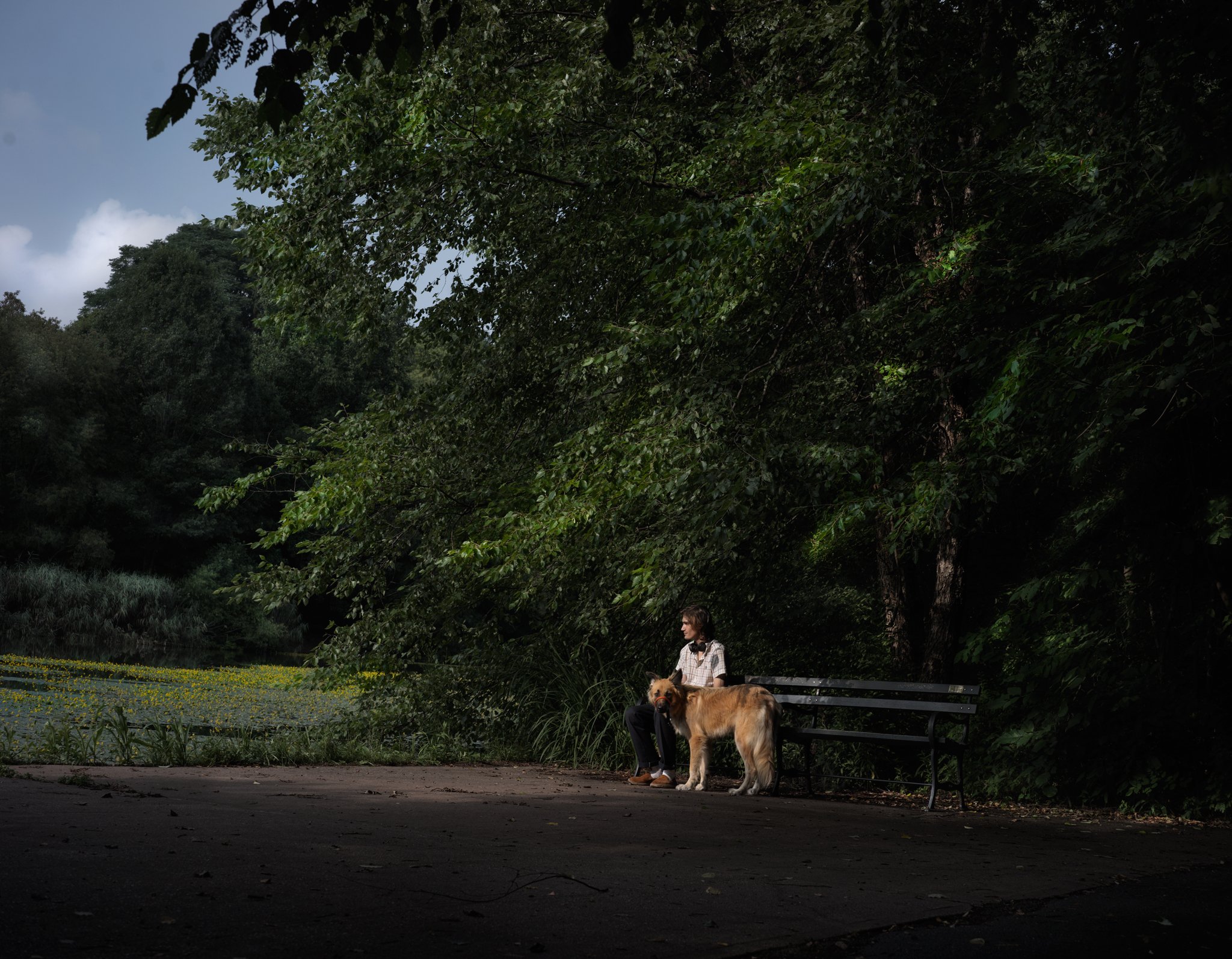 man-with-large-dog_6730_cropped.jpg