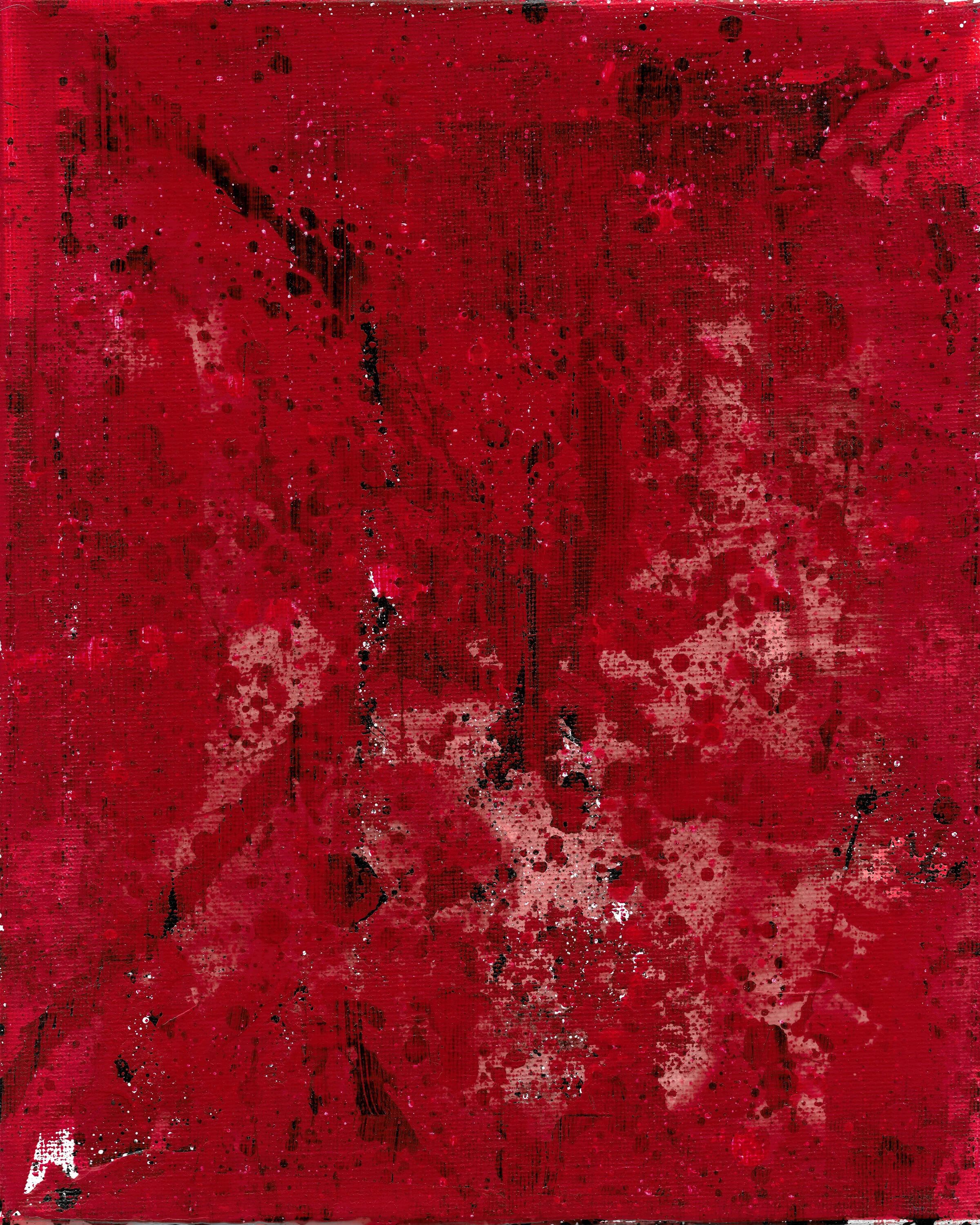 EXP-005.jpg