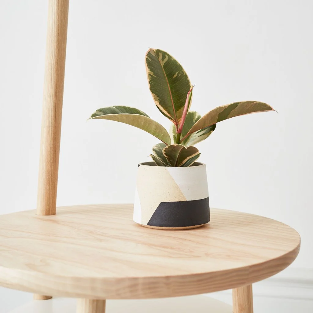 Josette-Lamp-Table-Detail-with-Geometric-Pot_1024x1024.jpg