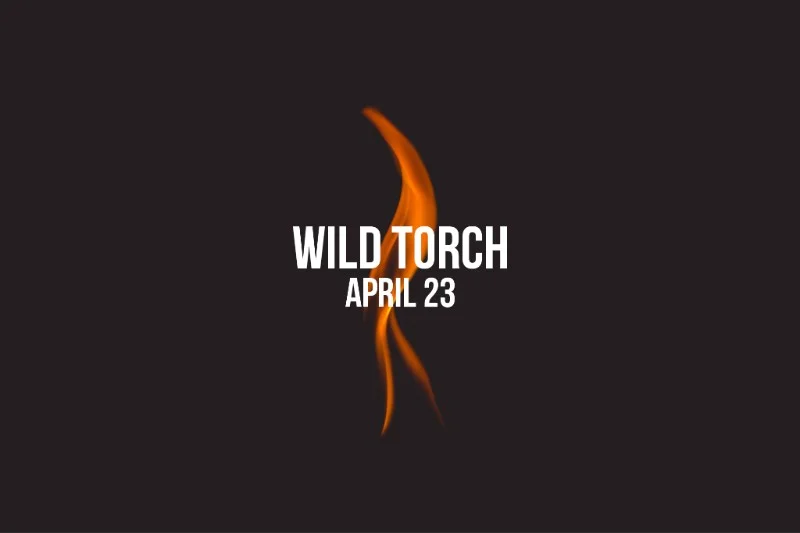 wildtorch2018.jpg