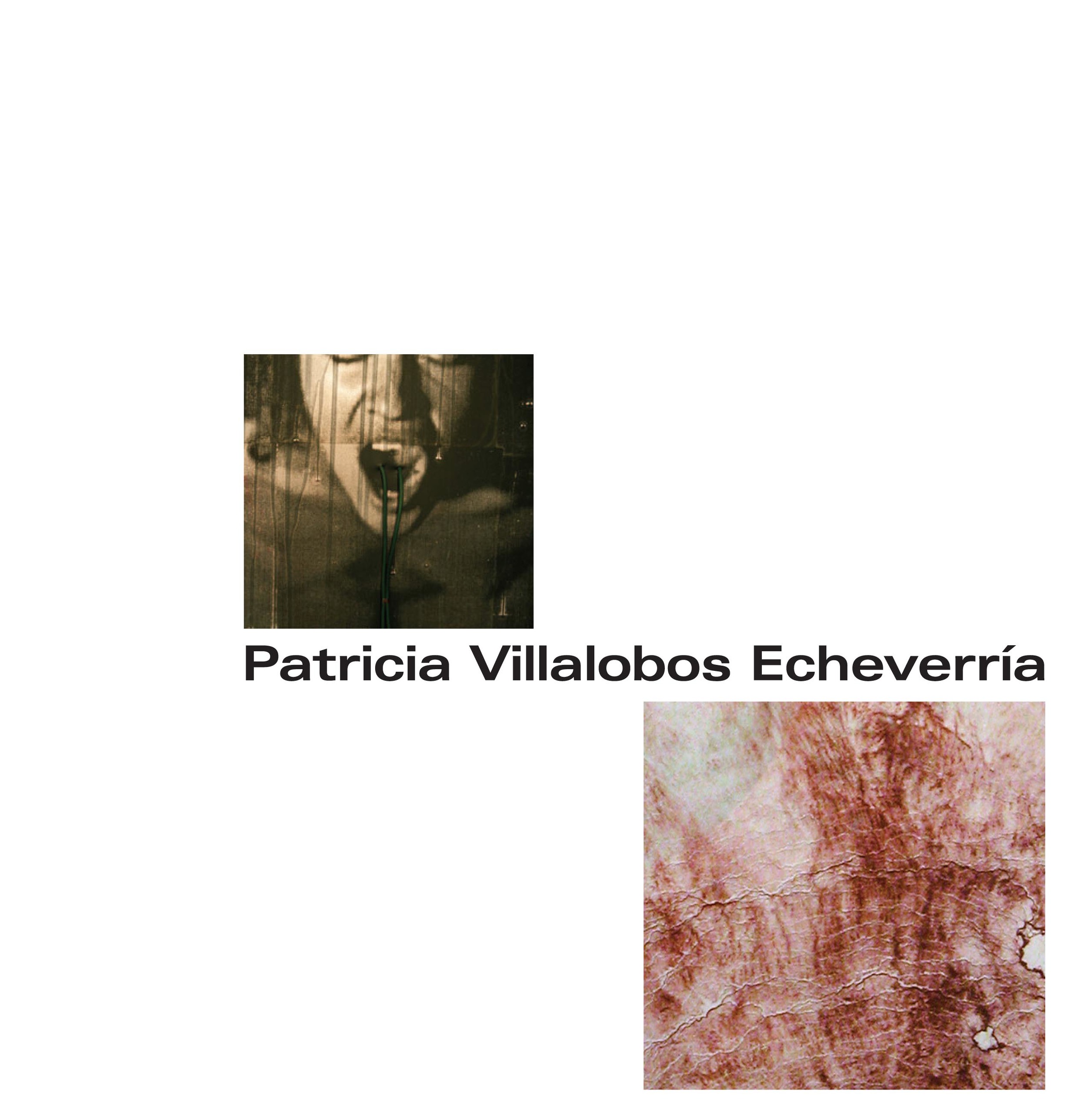 Patricia Villalobos Echeverria Catalogue sample-1.jpg