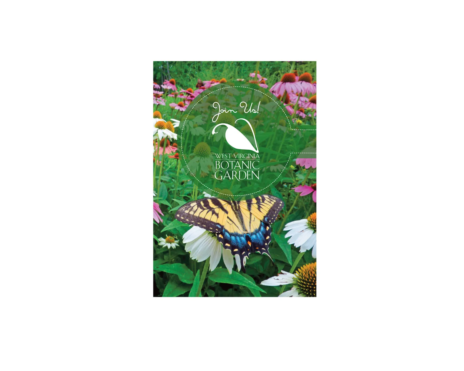 WVBG brochure.jpg