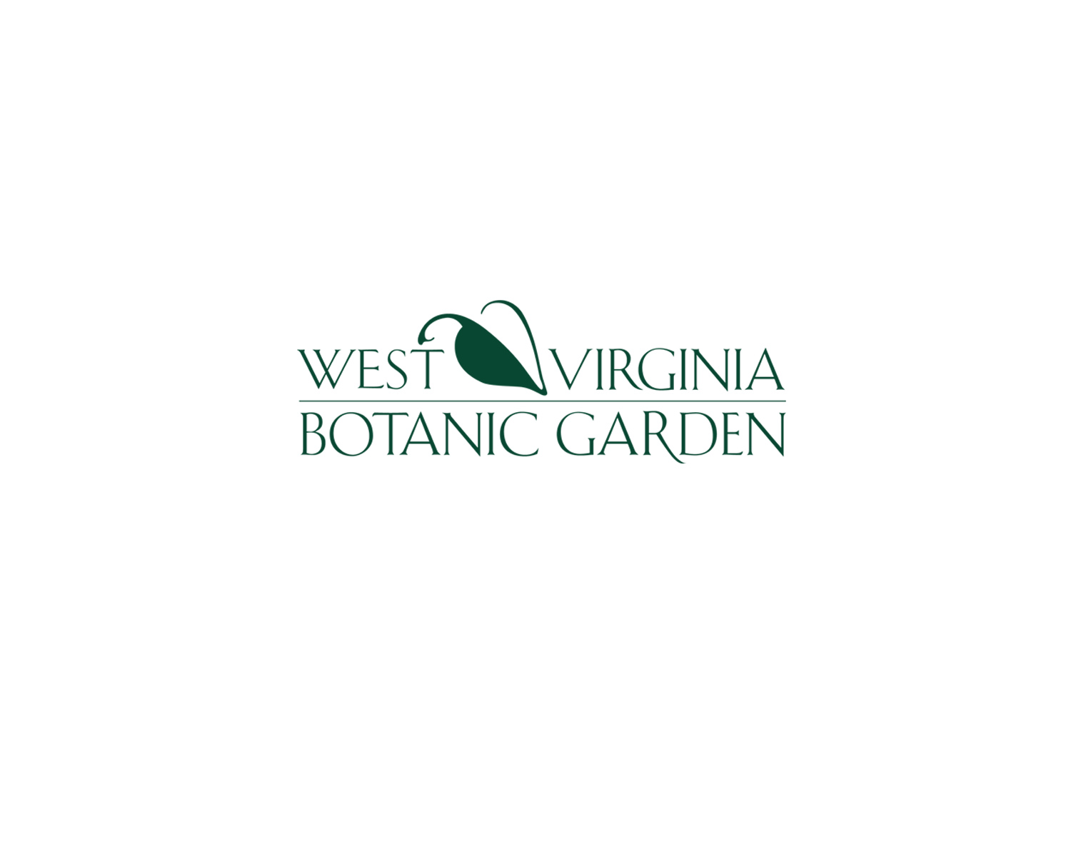 WVBG logo 2.jpg