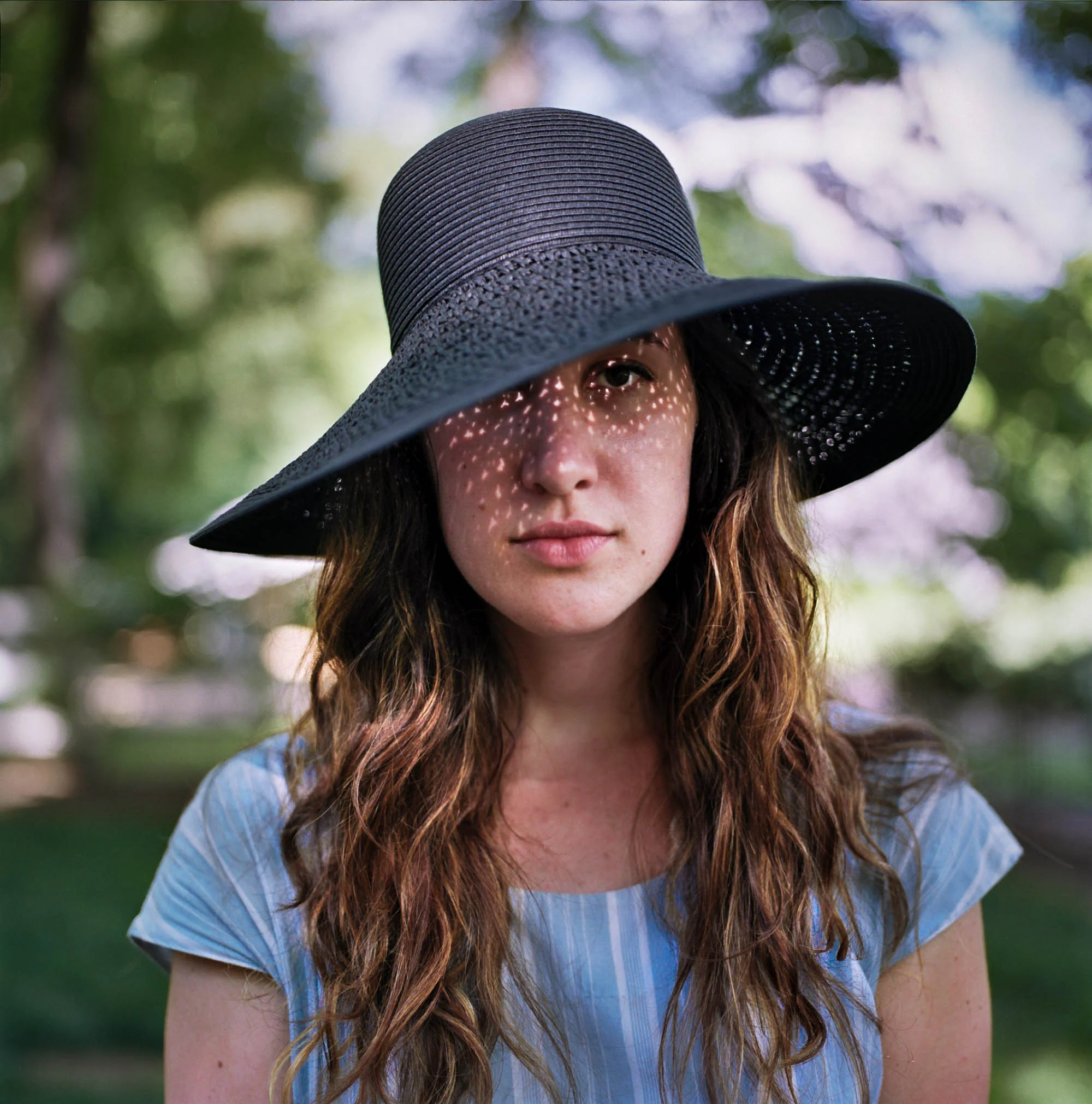 Katrina, Nashville