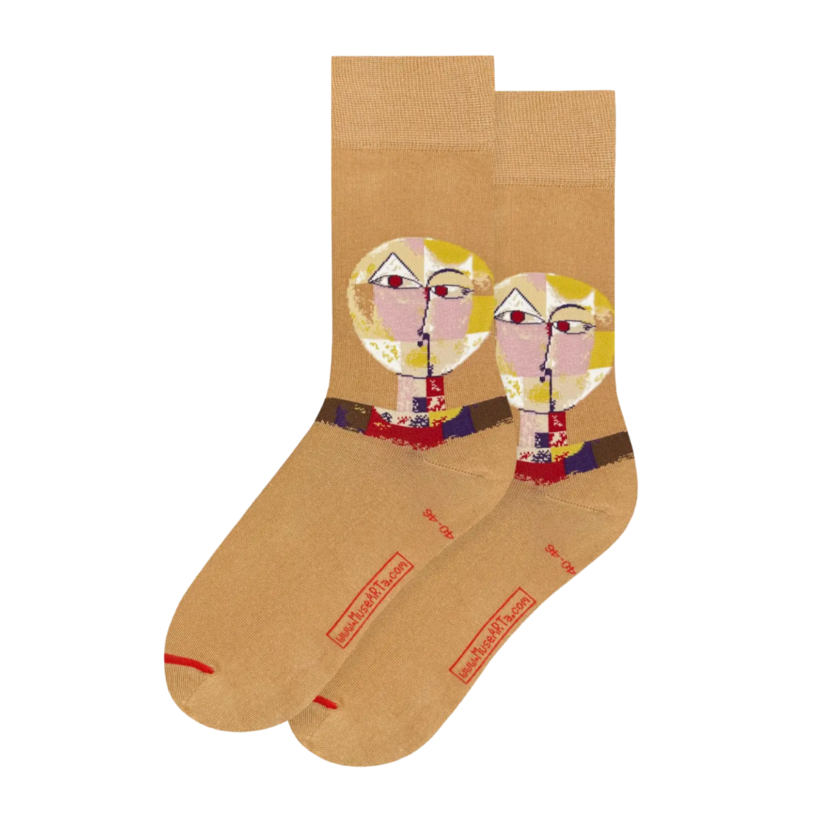 Paul Klee – Senecio Socks
