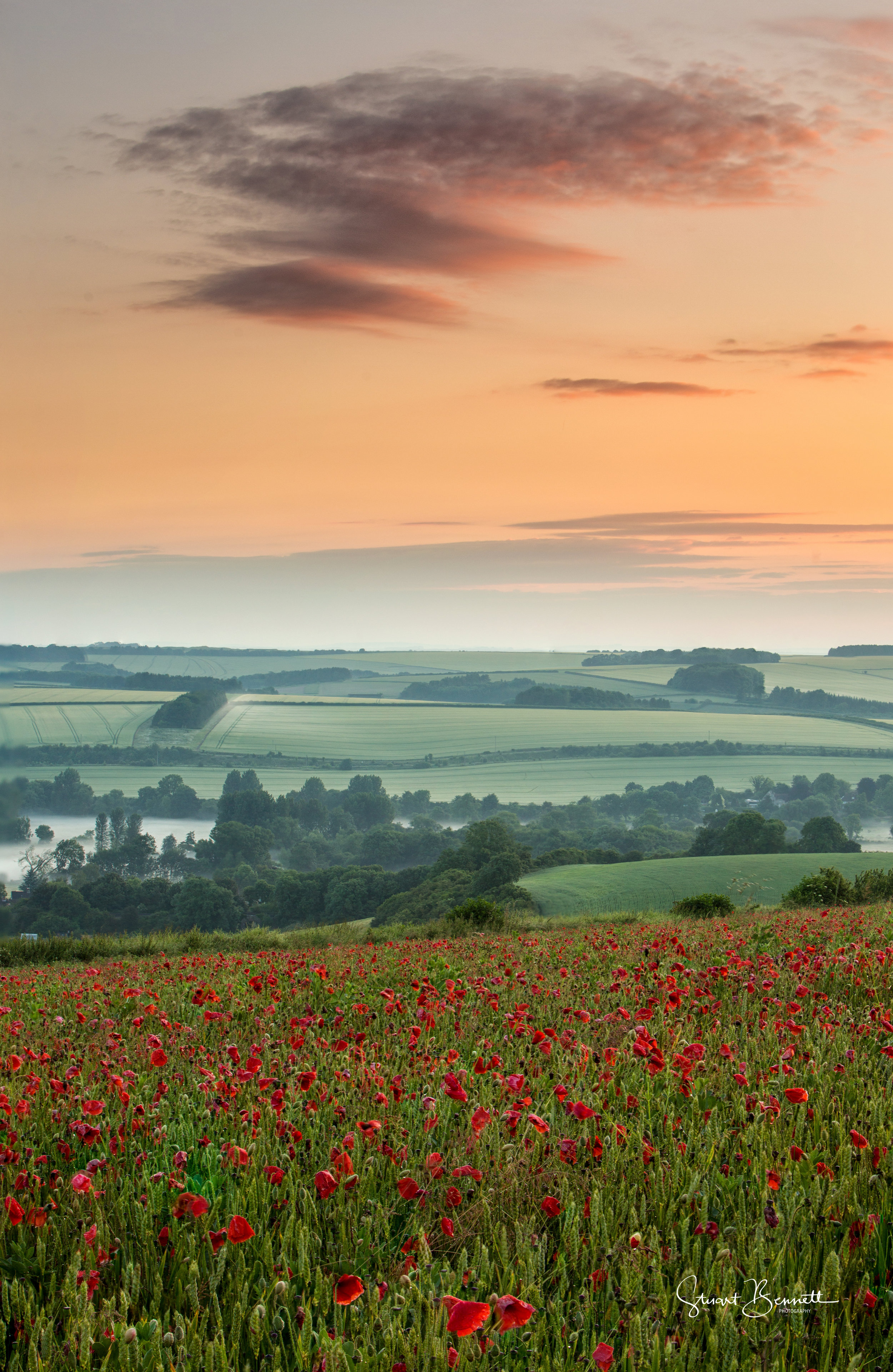 20160626-Poppy Field Sunrise I.JPG