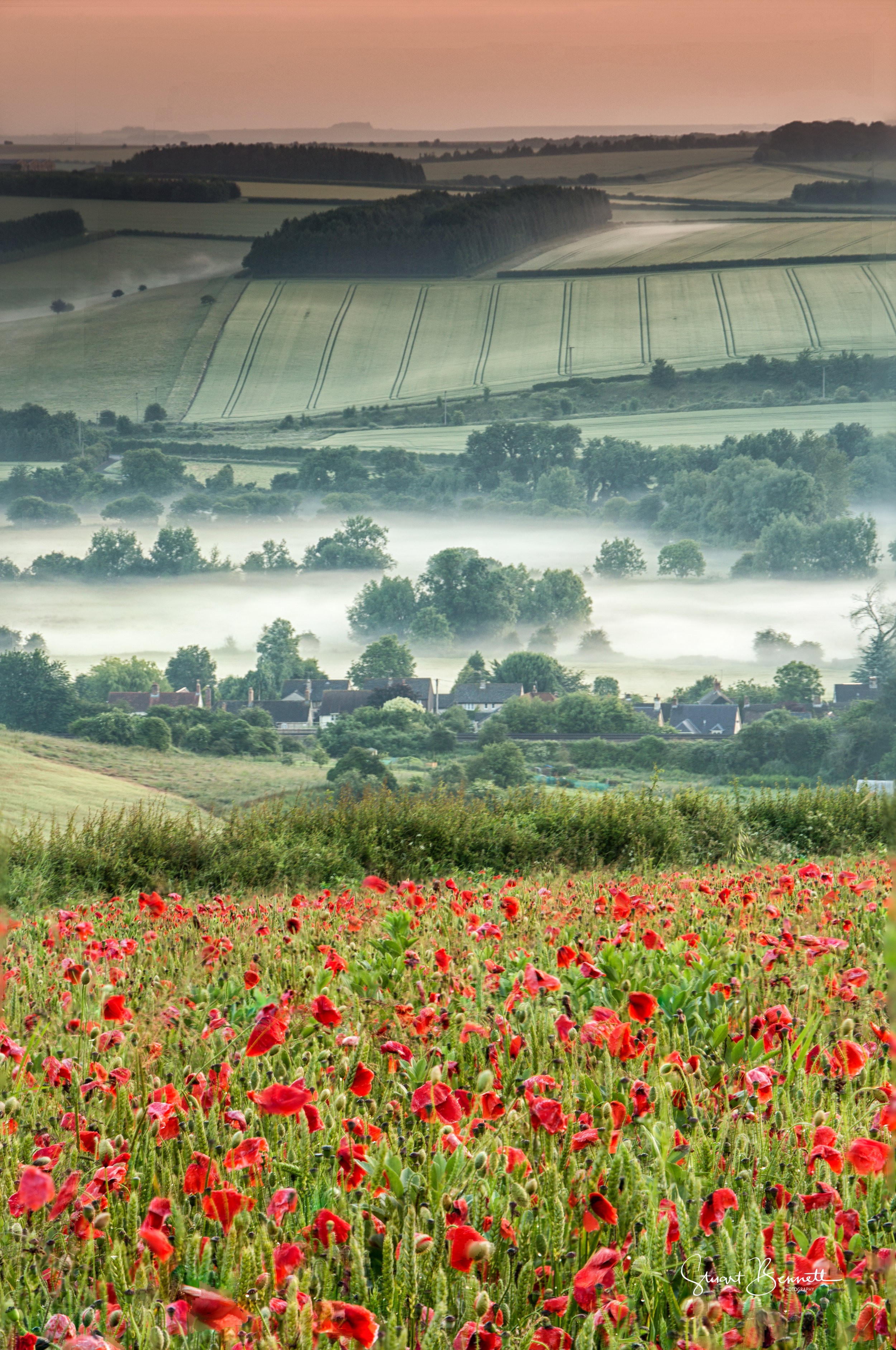 20160626-Poppy Field Sunrise II.JPG