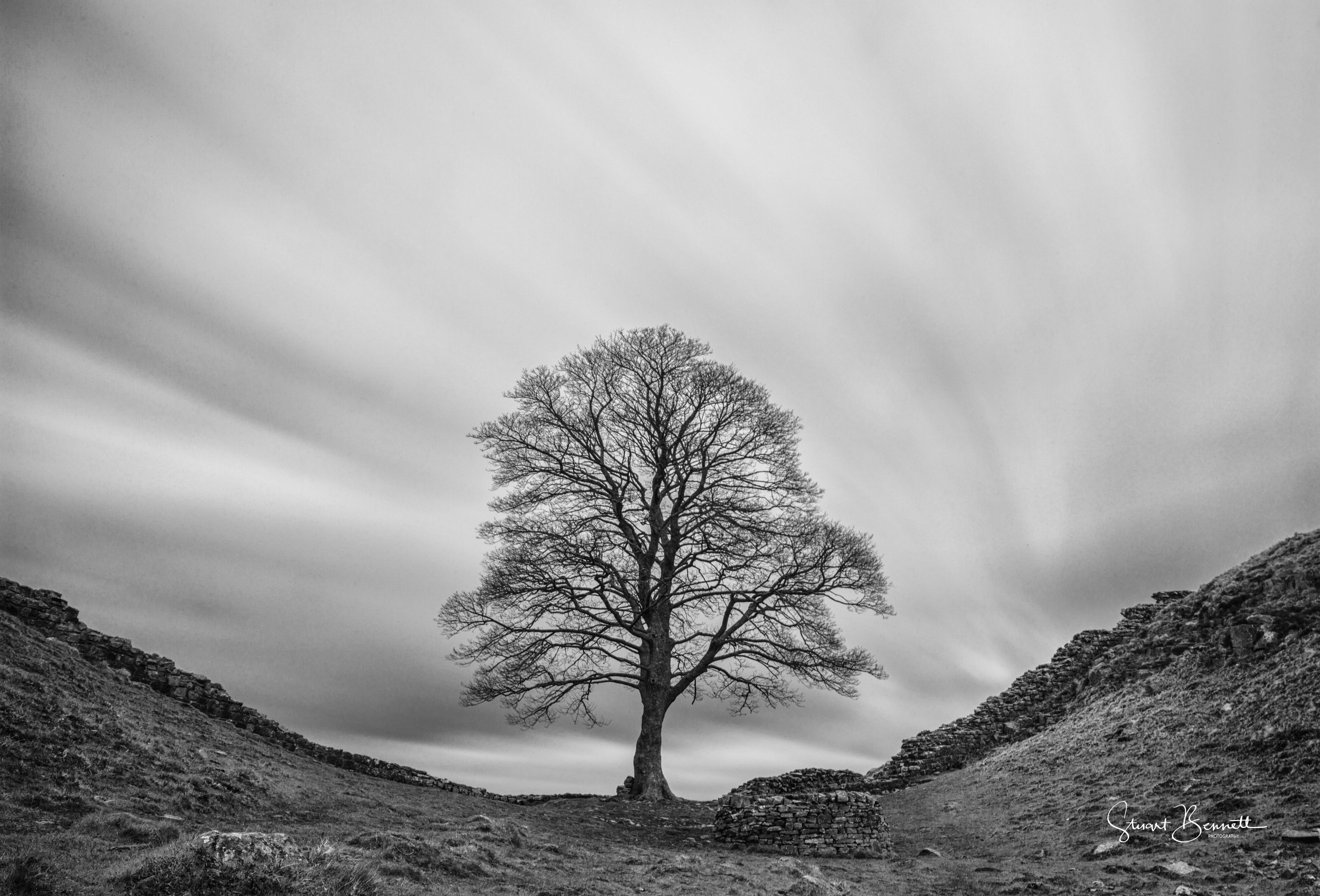 20160404-Sycamore Gap Black and WHite.JPG