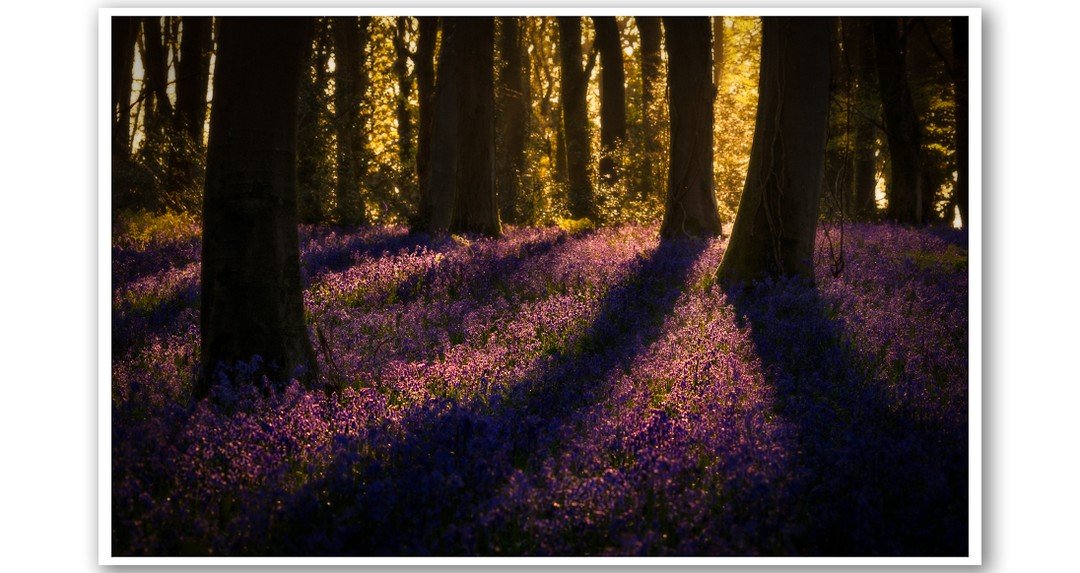 Couple of images from this mornings short trip out to Parnholt.