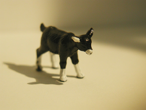goat From: Tokyo Favorite: White background, Black background, Books, Turn-tables Performed in: Between the Lines