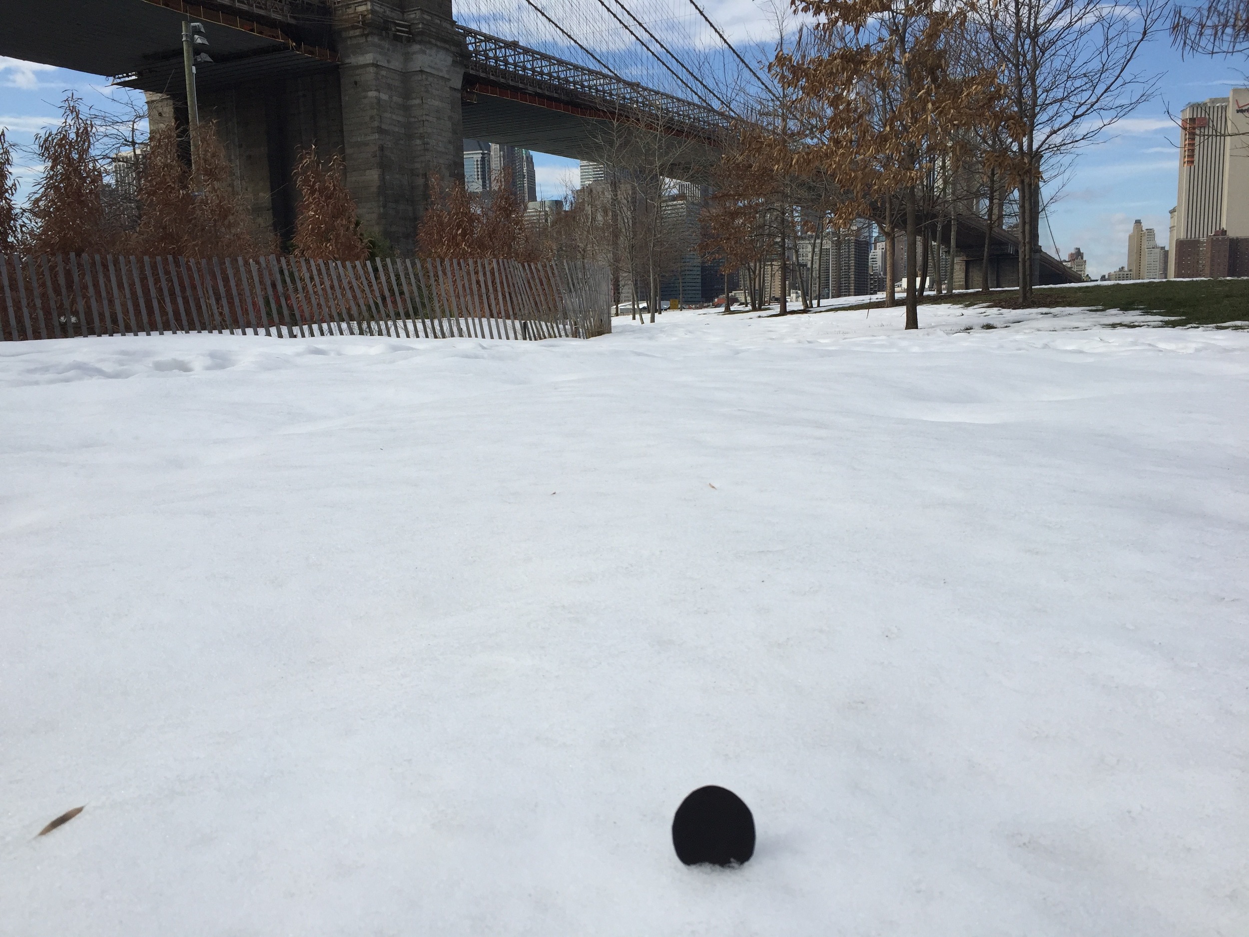 dot From: Brooklyn Favorite: new snow, pictogram, abstract art Fact: "dot doesn't speak a lot but it seems to know something very important..." (reported by sheep) Performed in: Everything Starts from a Dot, Everything Starts from a Dot - Installation, Object Dance