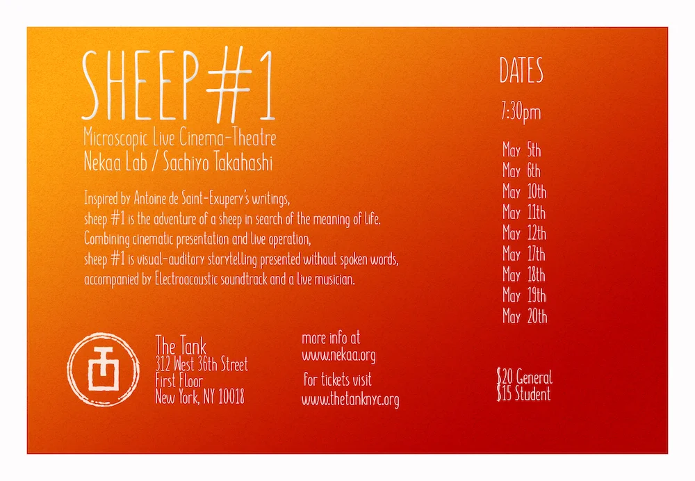 sheep1_back.jpg