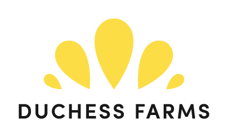 Duchess Oil Cold Pressed Rapeseed Oil &amp; Heritage Grain Flour
