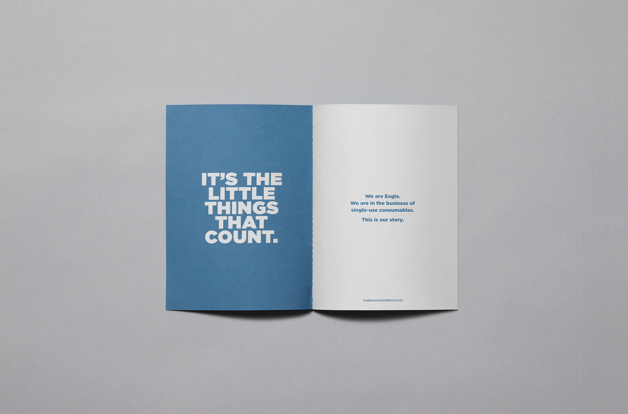 Eagle_brand book.jpg