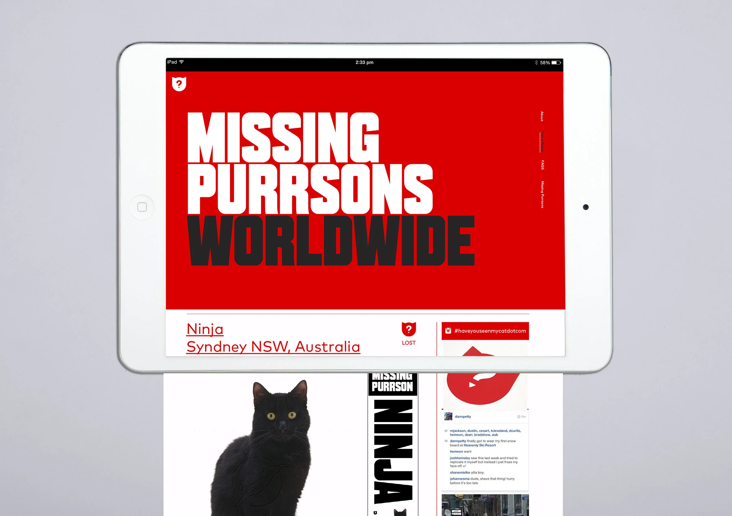 Cats_visuelle_2.jpg