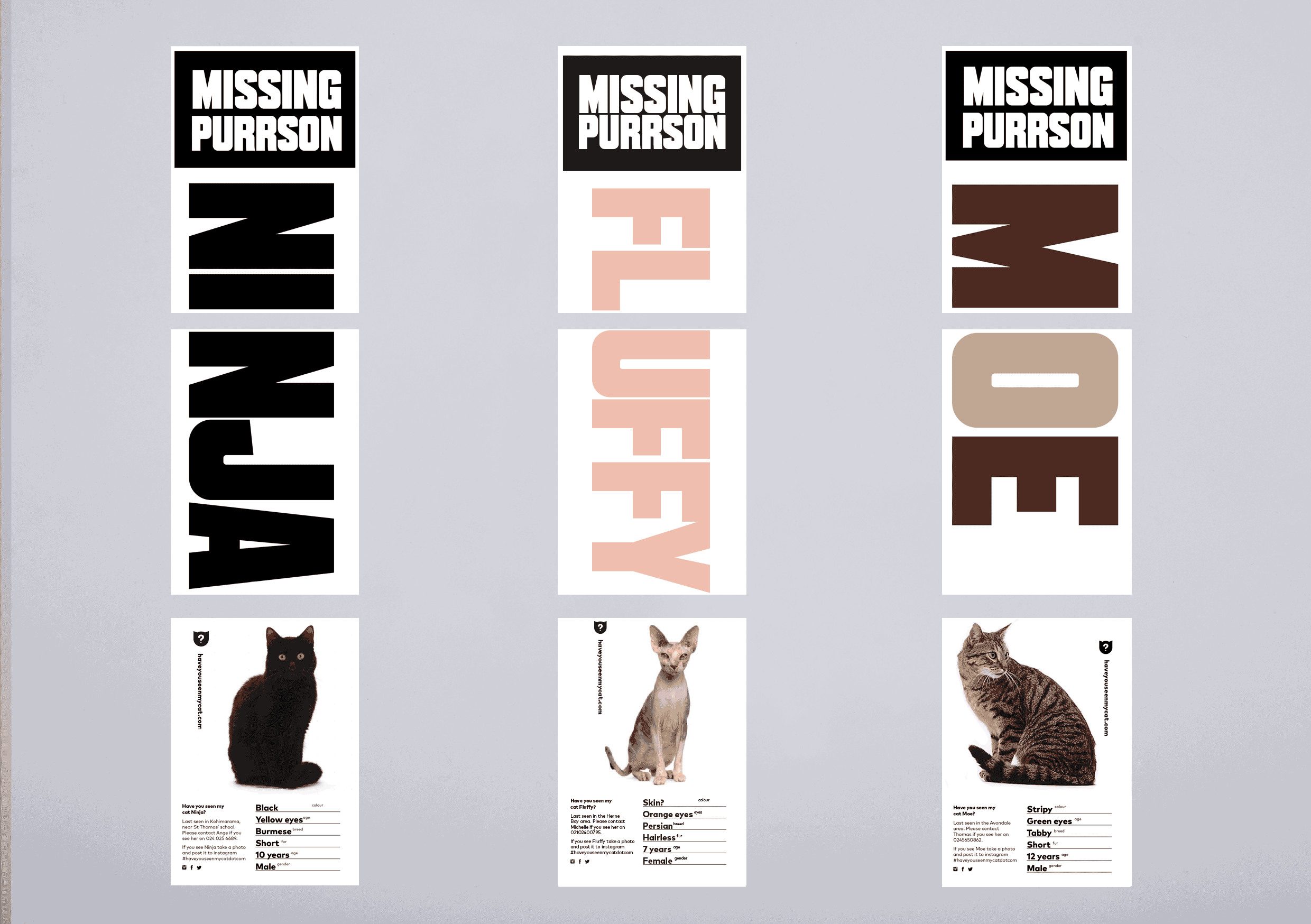 Cats_visuelle_gif.gif