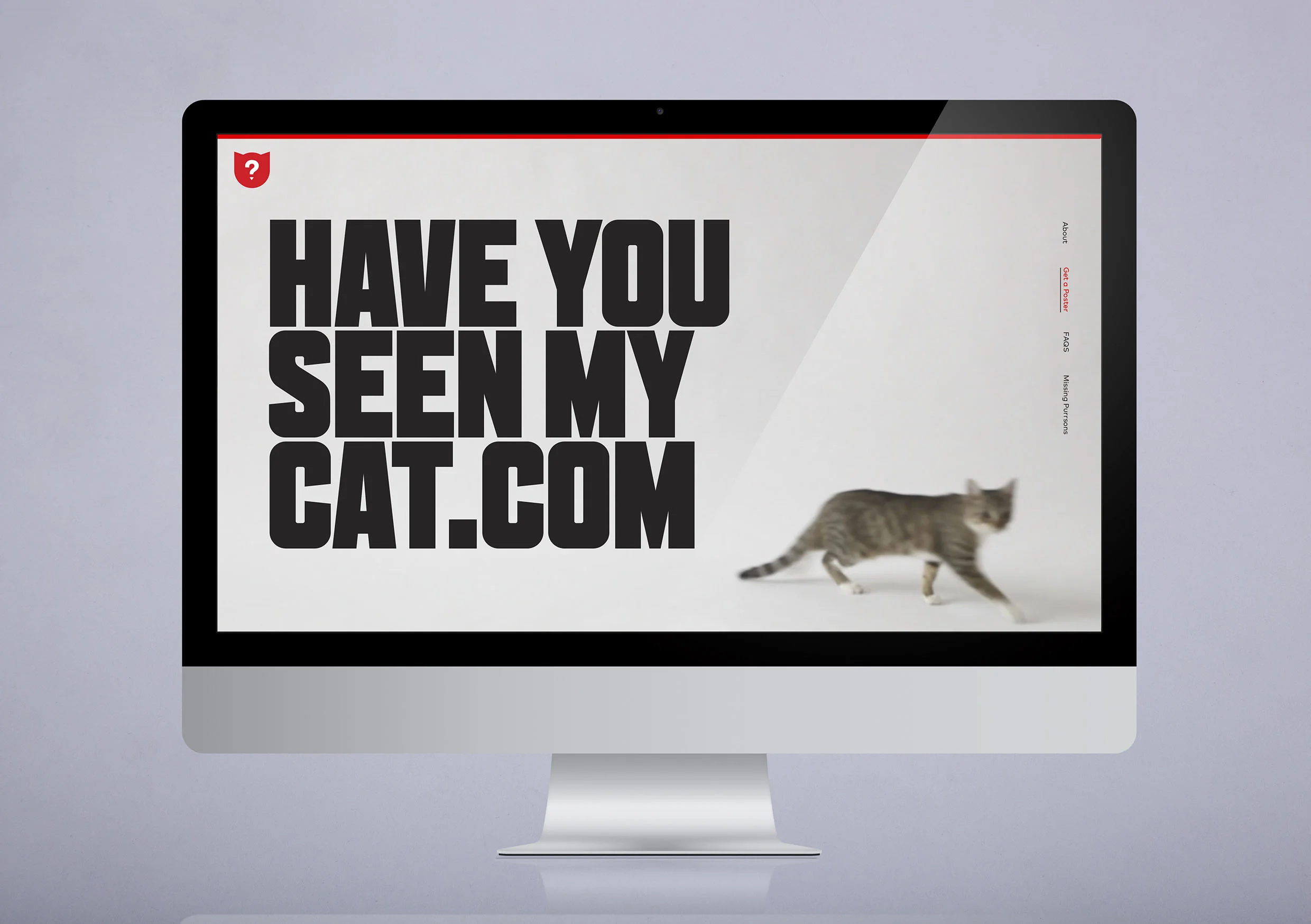 Cats_visuelle_1.jpg