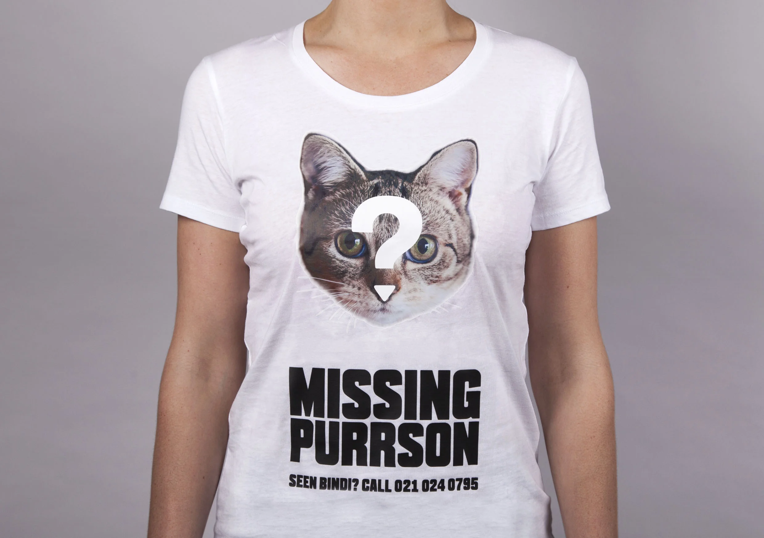 Cats_visuelle_7.jpg