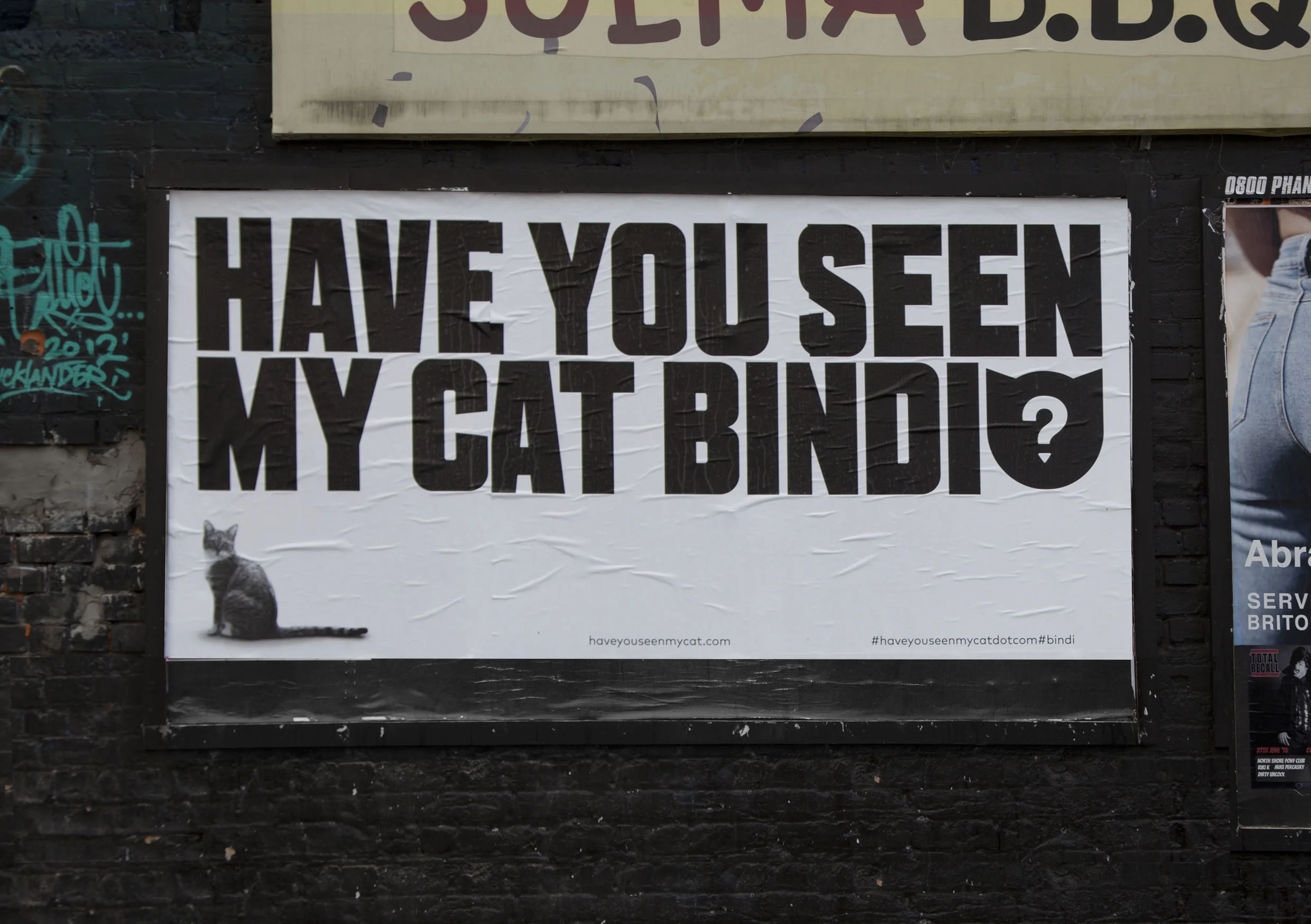 Cats_Best_awards_image_9.jpg