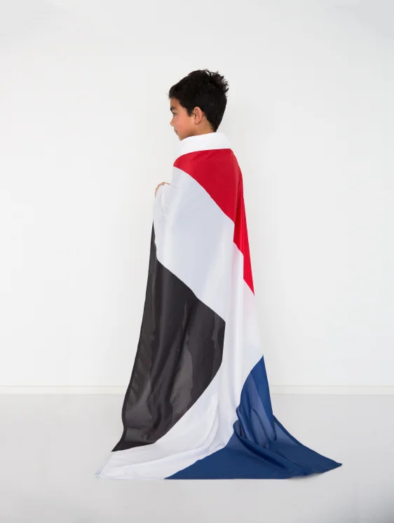 NZ_Flag_set_4.jpg
