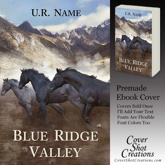 306 Blue Ridge Valley.jpg
