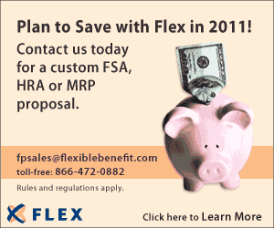 300 x 250 Animated GIF Banner Ad // Flex Pricing Promotion 