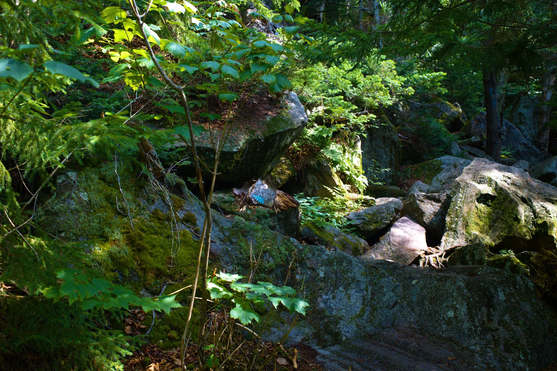 _DSC9475s.jpg