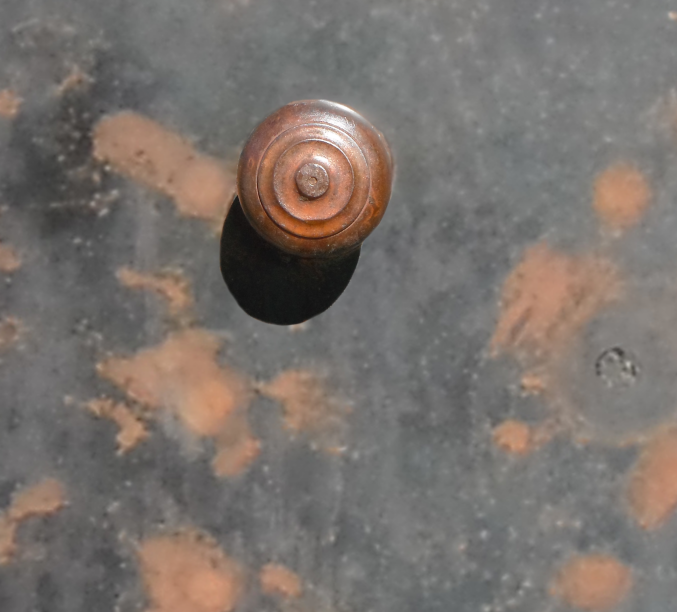 Old Rust Metal Door wrap