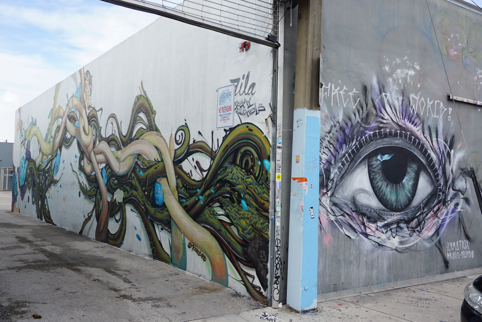 LRG_DSC06505.jpg
