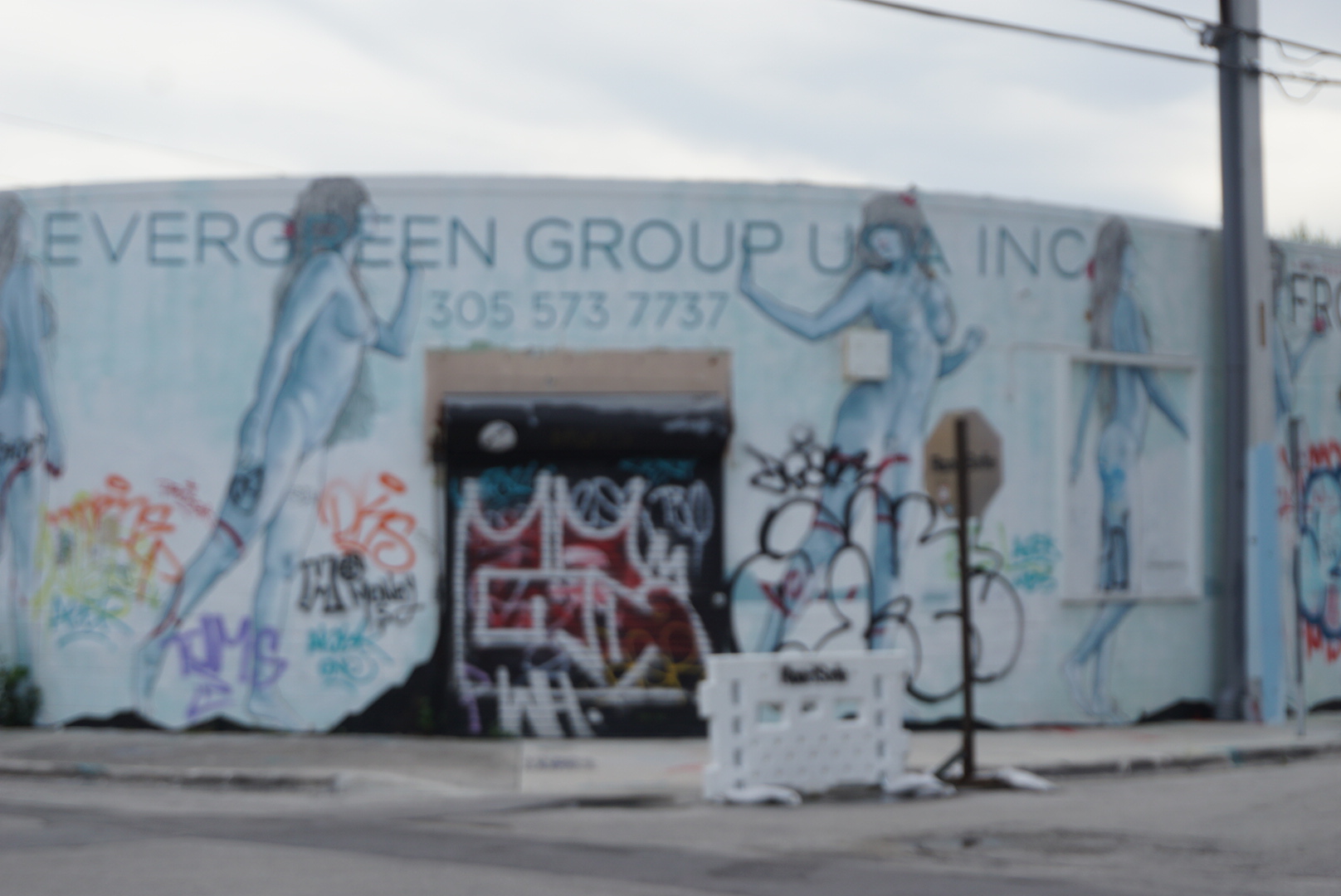 LRG_DSC06507.jpg