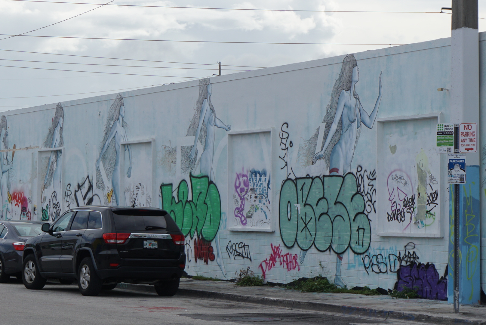 LRG_DSC06506.jpg