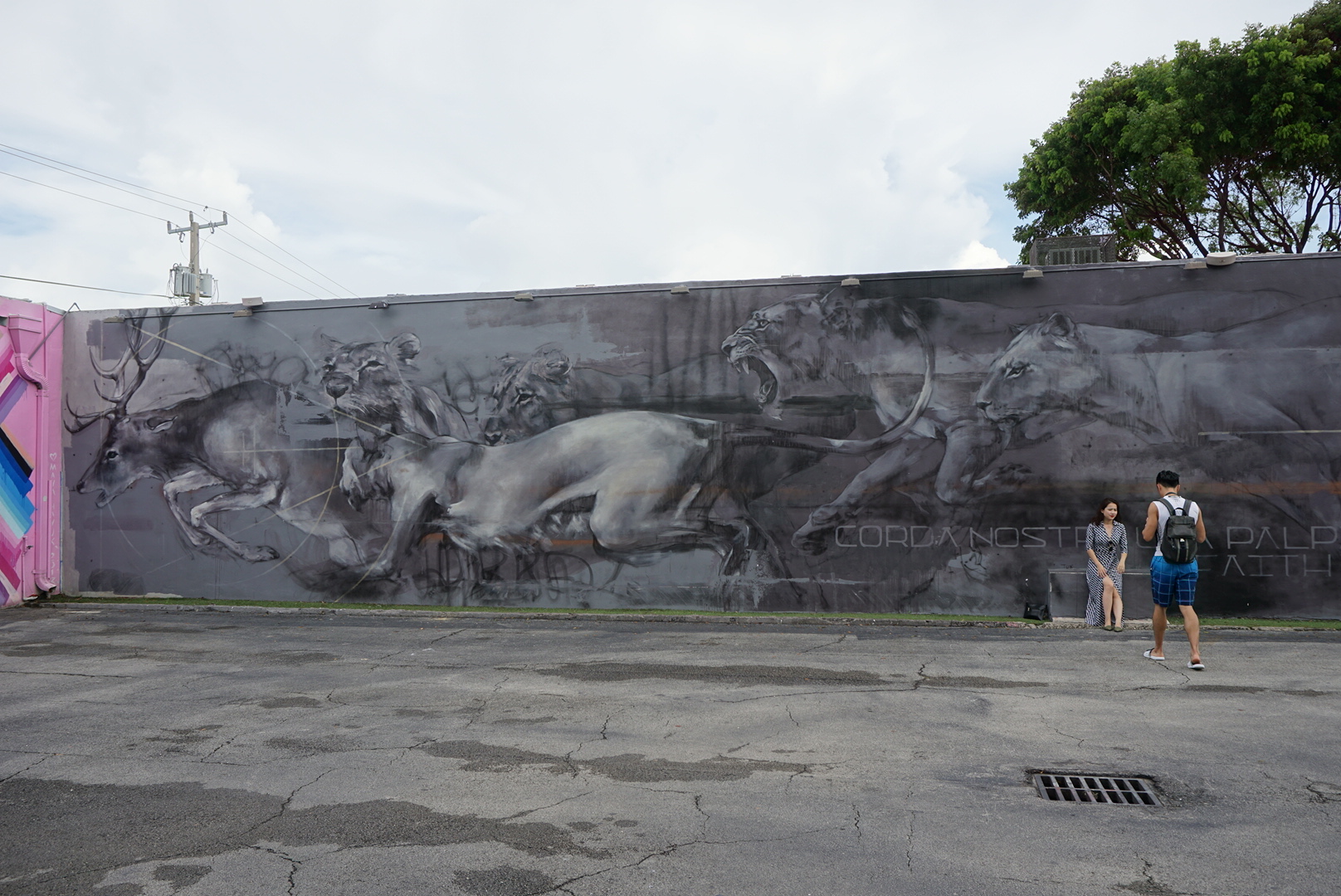 Wynwood Walls